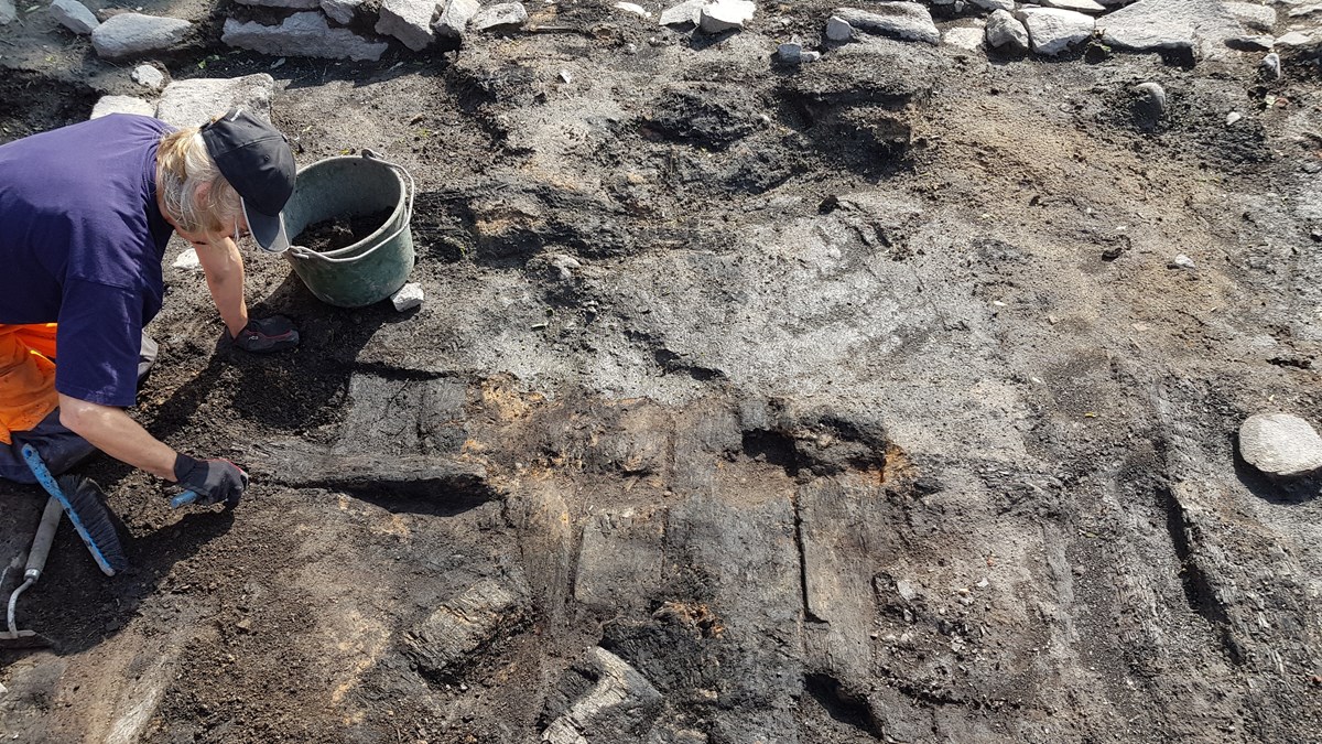 en arkeolog gräver fram ett brädgolv