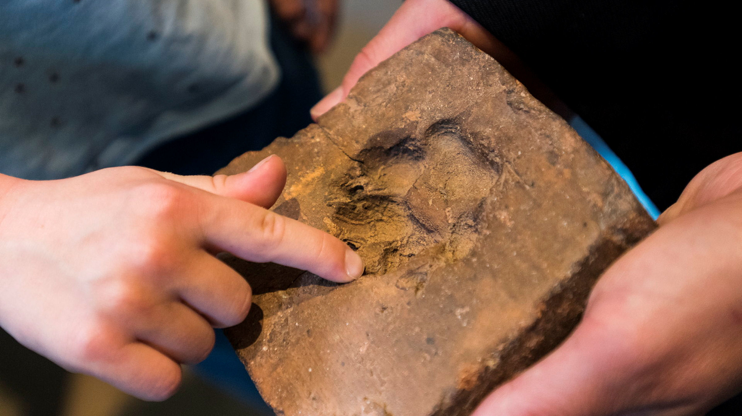 Barnhänder rör vid ett stenföremål med gropar i.