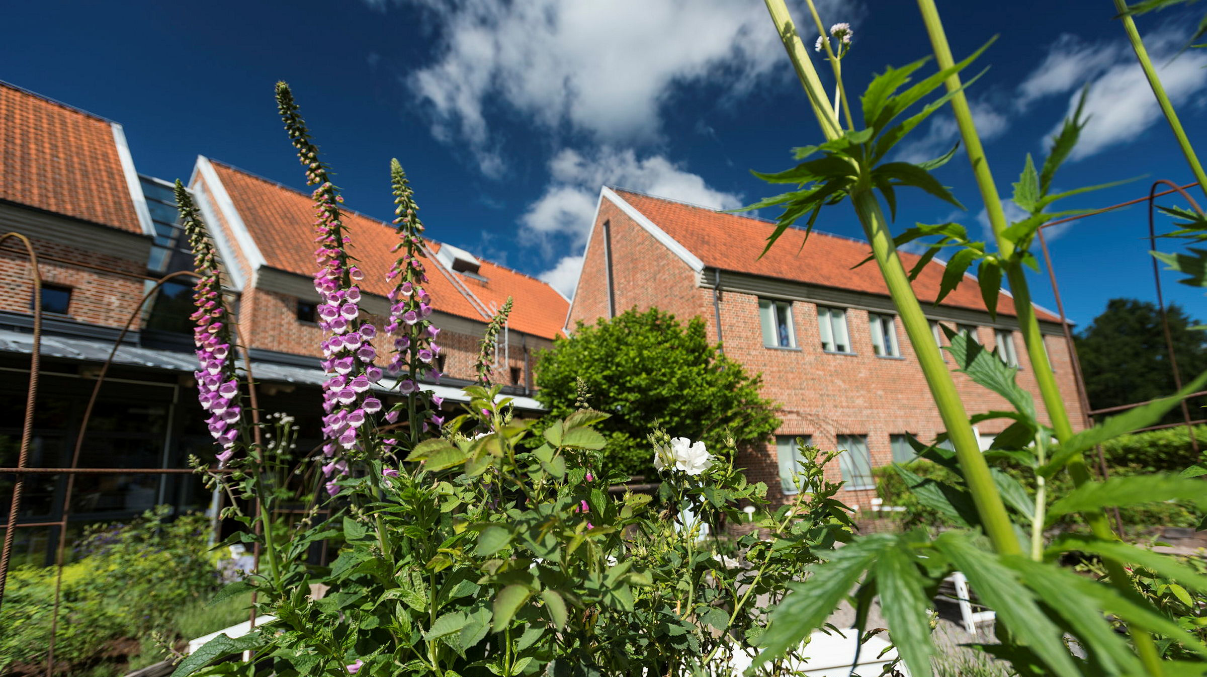 En röd tegelbyggnad och växter i förgrunden
