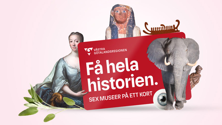 A picture of the region museums annual pass