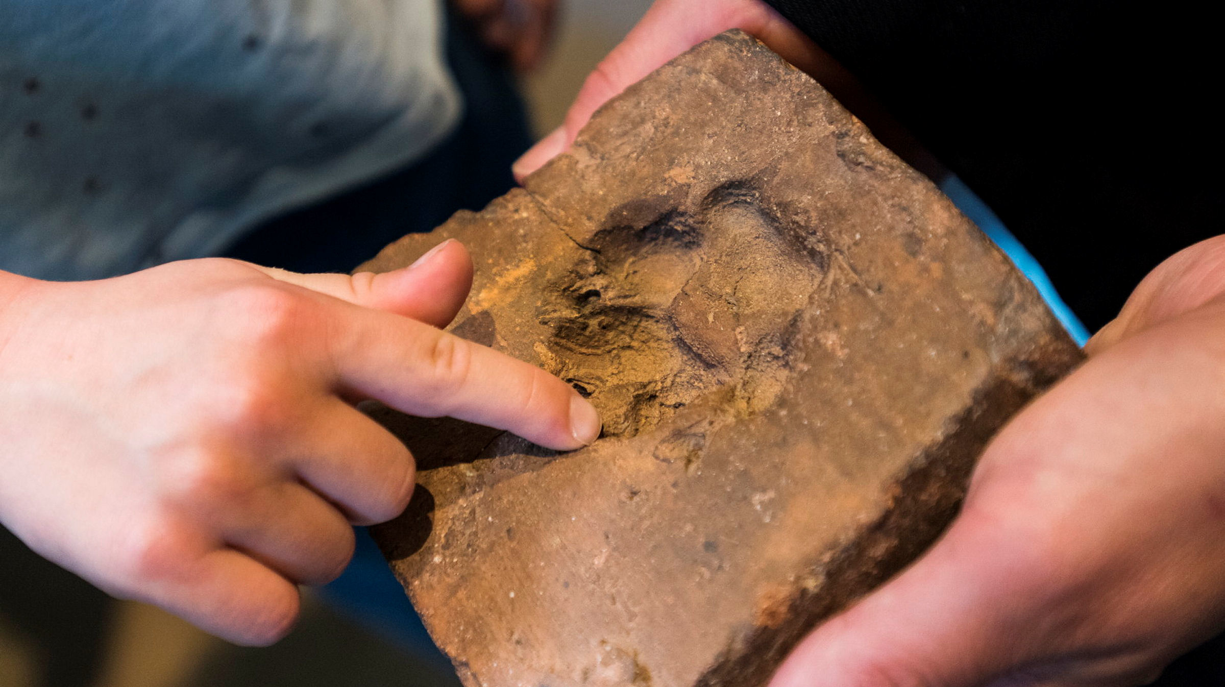 Ingen beskrivning tillgänglig