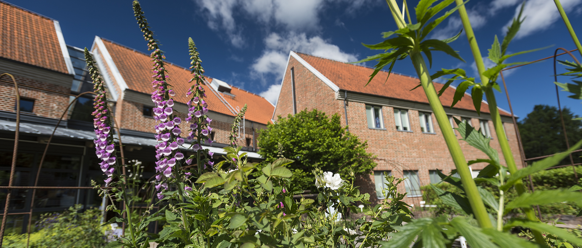 En tegelbyggnad fotad med växter i förgrunden