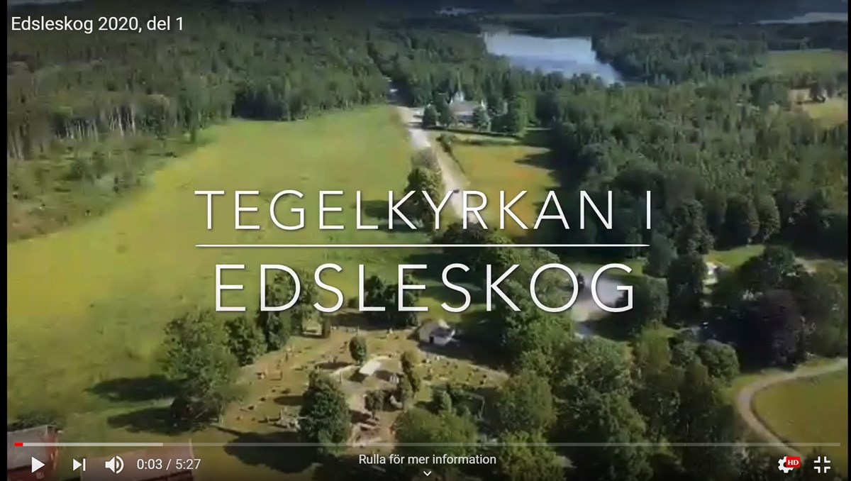 drönarbild över Edsleskog