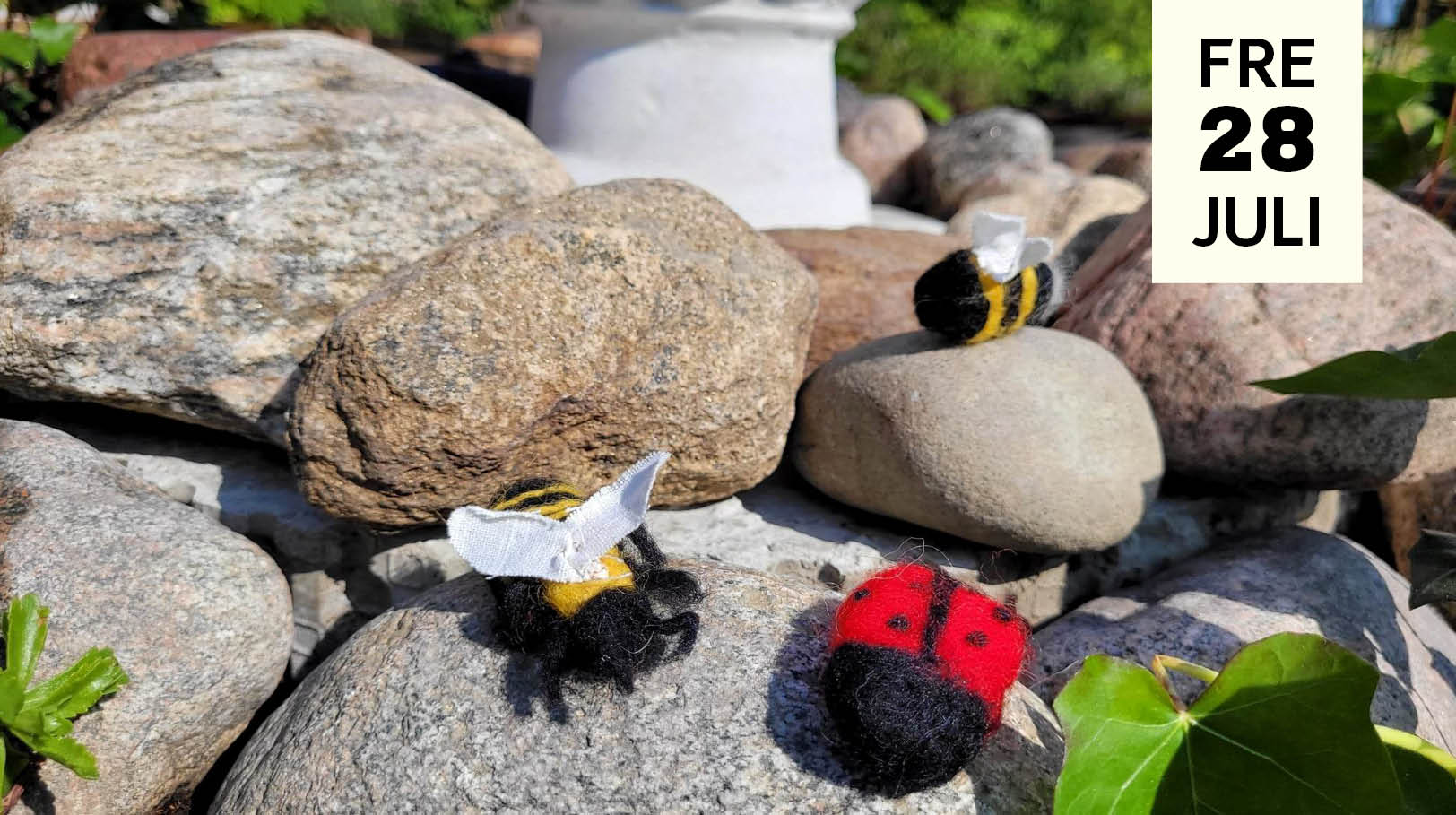 Nåltovade småkryp på stenar i solen