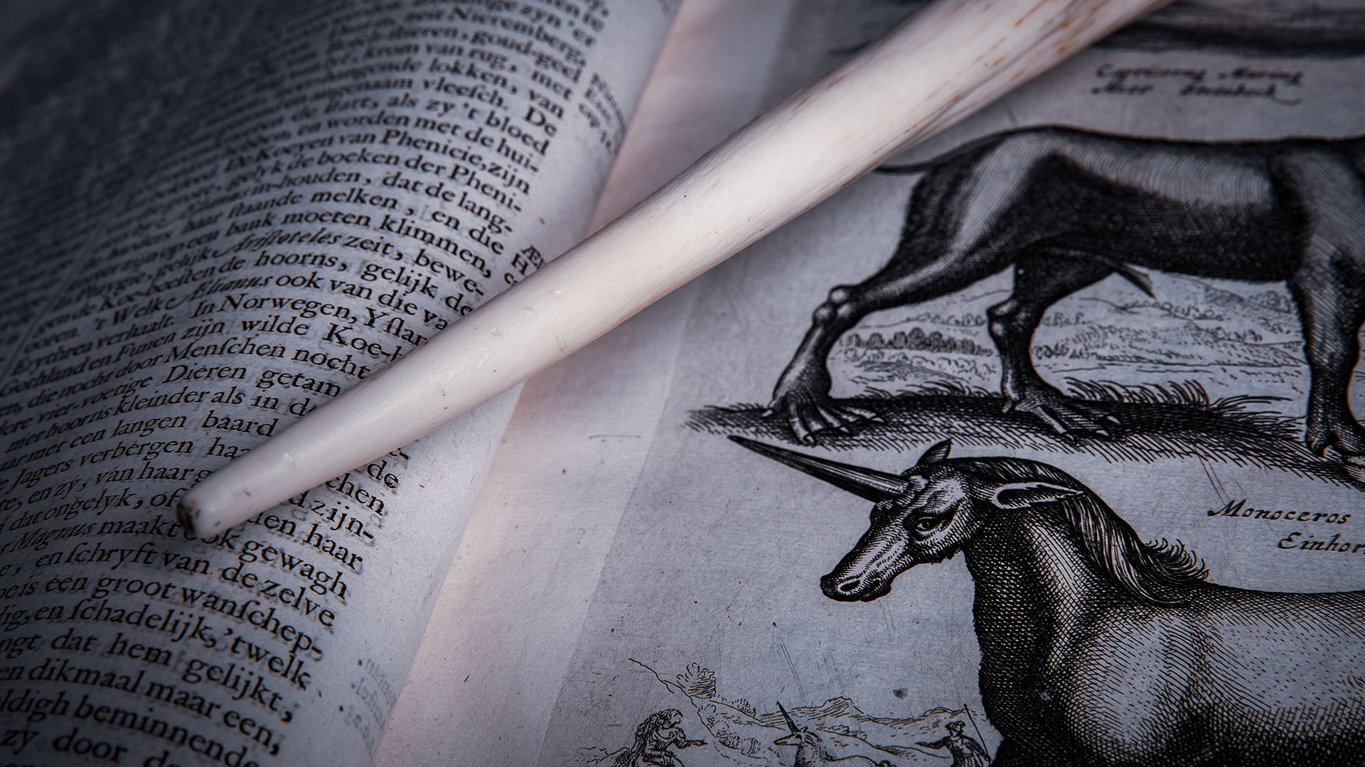 Ingen beskrivning tillgänglig