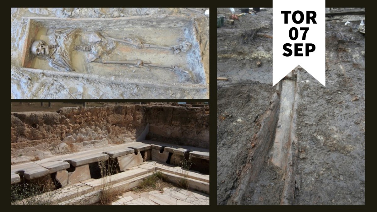 tre bilder från arkeologiska utgrävningar med skelett och avträden