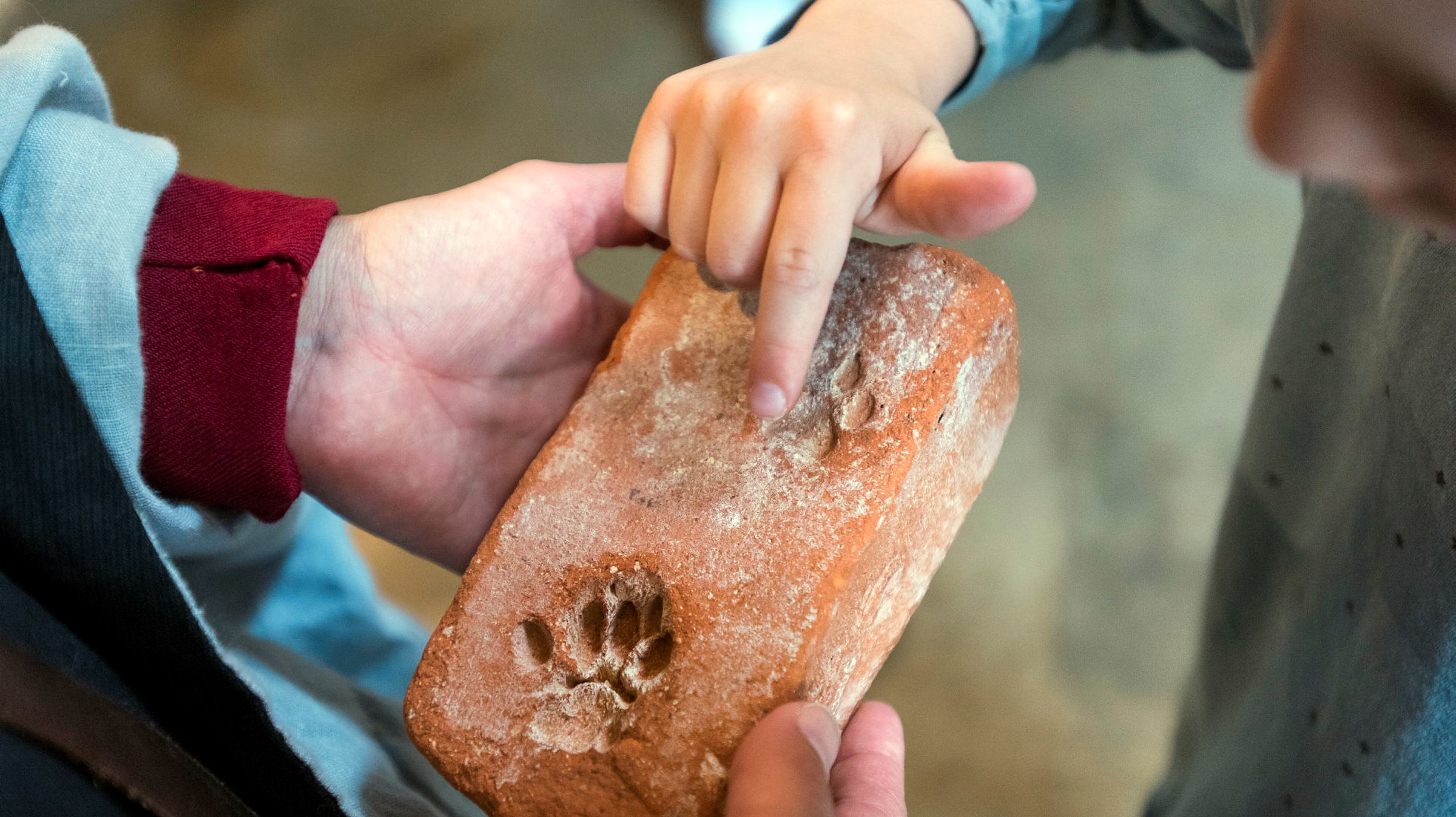 Två par barnhänder rör vid en tegelsten med tassavtryck.