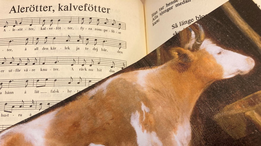 En bild på en ko ligger över ett nothäfte