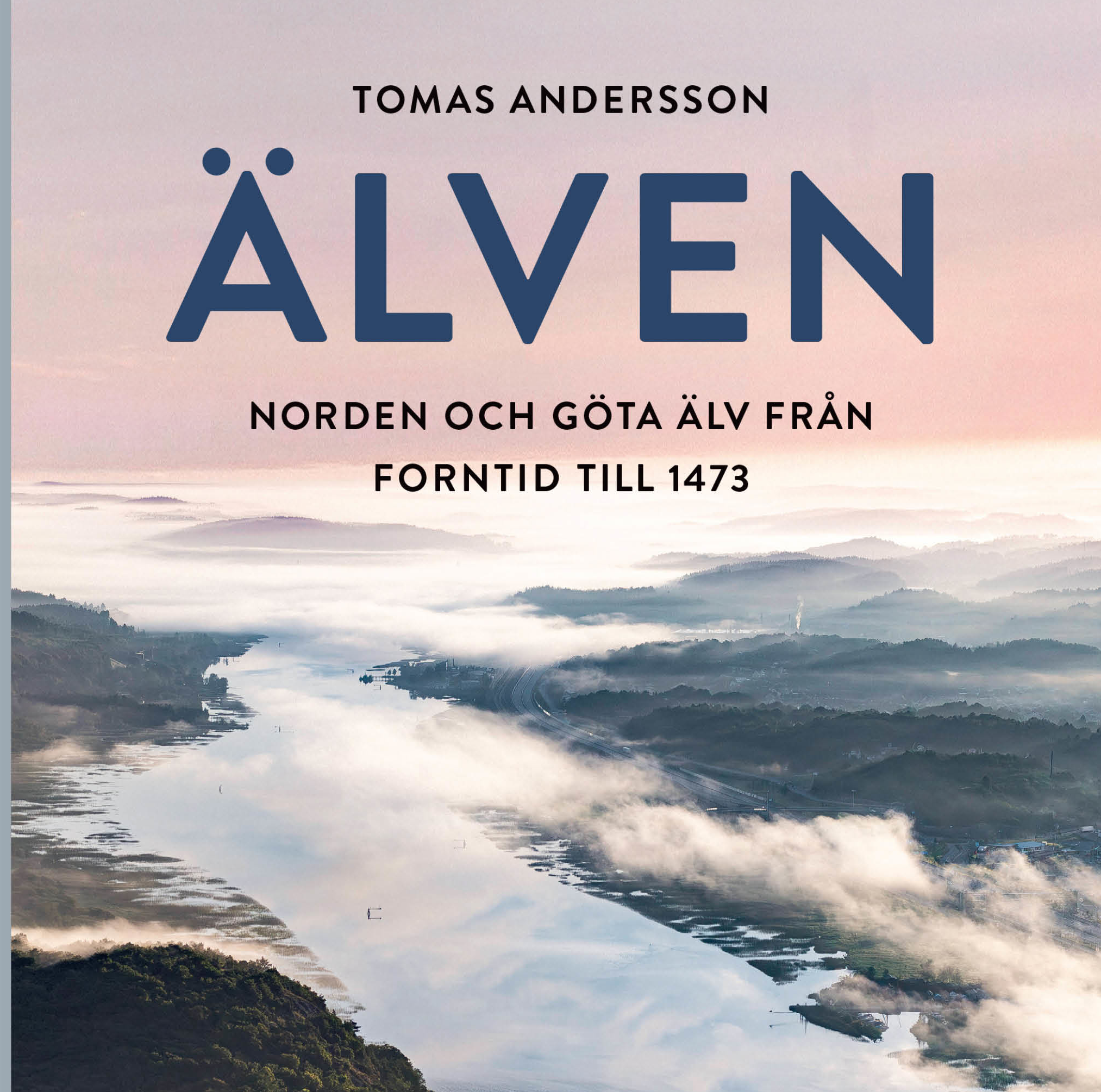 Flygbild över en älv