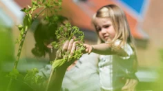 En mammam med sitt barn i famnen tittar på en blomma