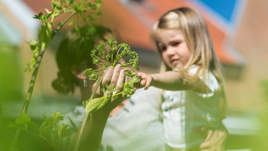 En mammam med sitt barn i famnen tittar på en blomma